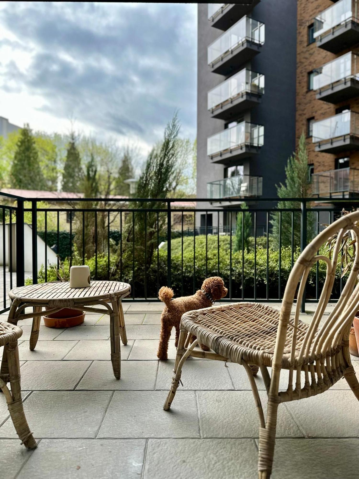 Pure Apartment N°1 Breslavia Exterior foto